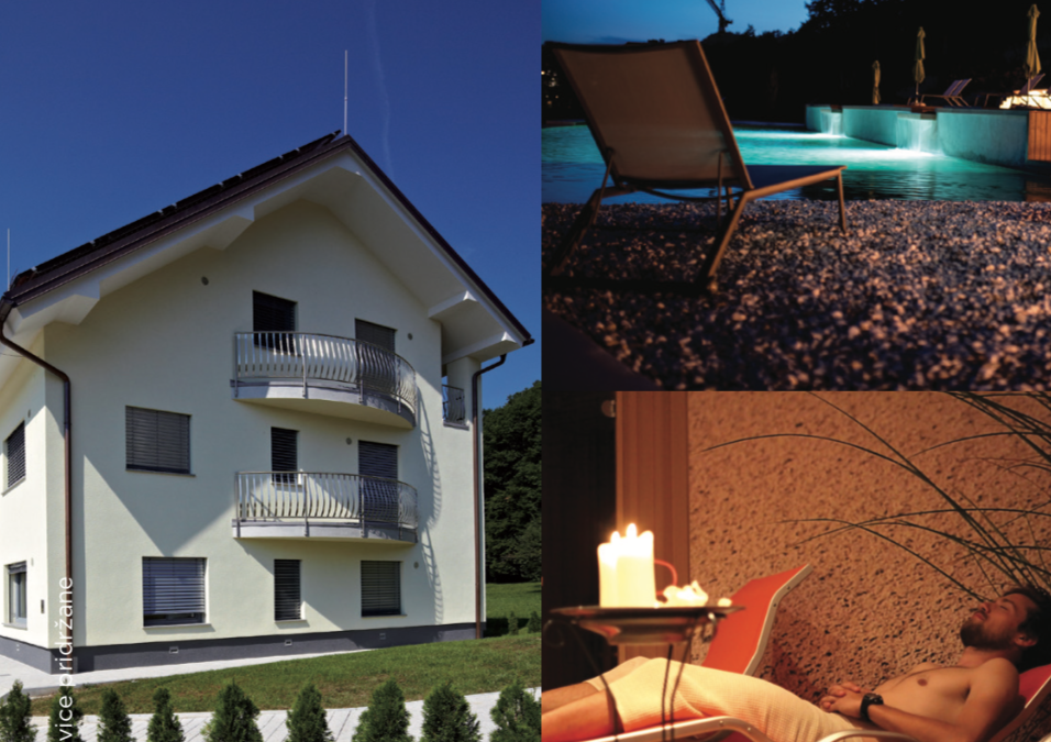 Apartmaji in wellness Skok
