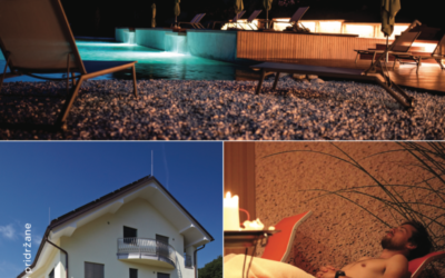 Apartmaji in wellness Skok