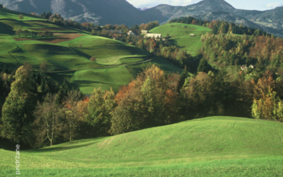 Brdarjeva turistična kmetija Ljubica