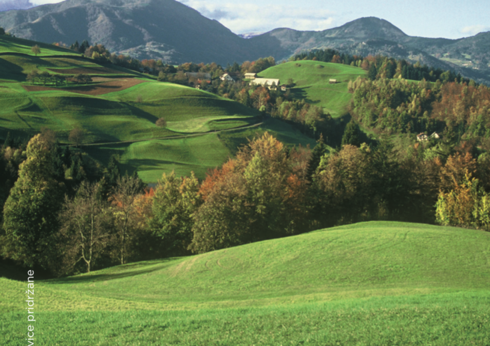 Brdarjeva turistična kmetija Ljubica