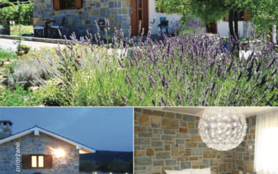 Holiday House Ida