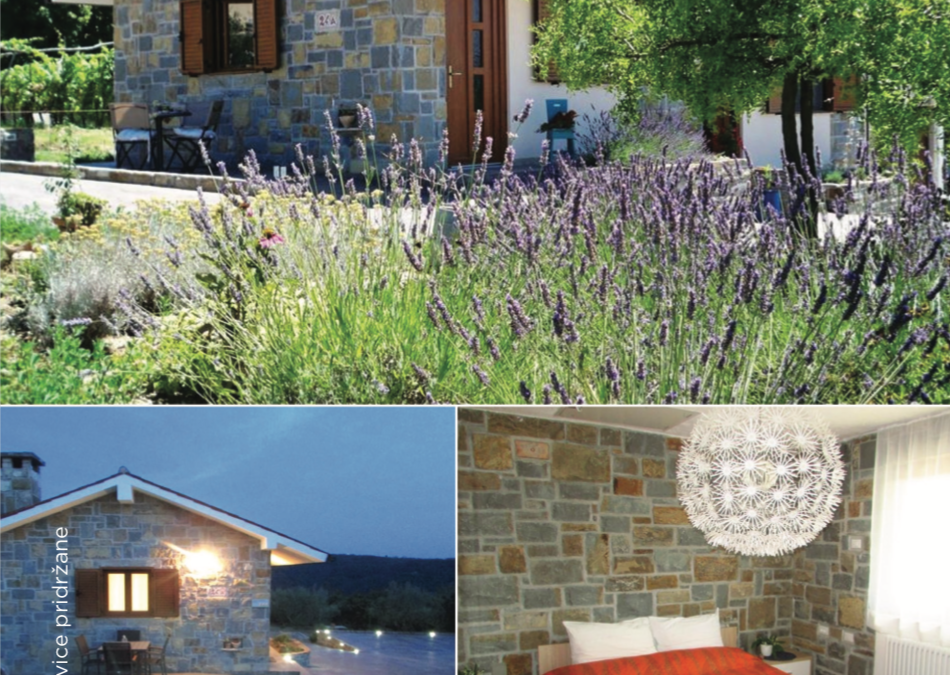 Holiday House Ida