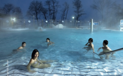 Hotel Zeleni Gaj, Terme Banovci