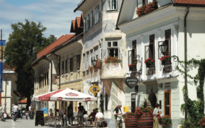 Lectar penzion, gostilna, muzej – ni več na voljo