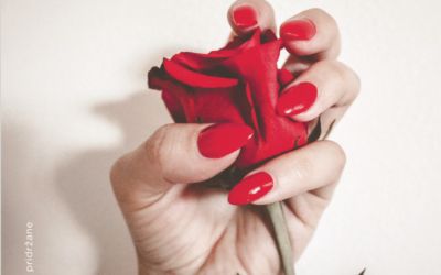 Salon AJNA – ni več na voljo