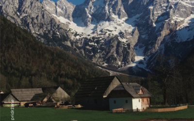 Šenkova domačija