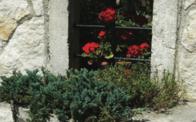 Turistična kmetija Na hribu