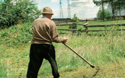 Učenje košnje trave s koso
