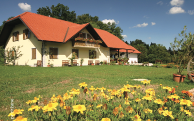 Vinogradniško – turistična kmetija Borko