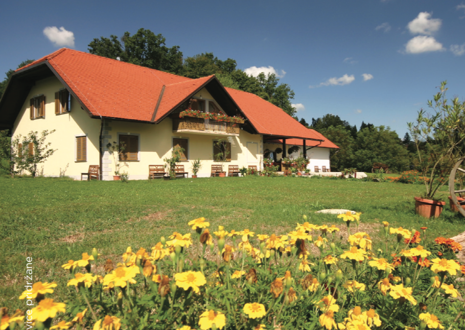 Vinogradniško – turistična kmetija Borko