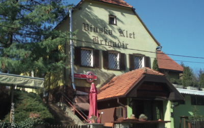 Vinska klet Brigadir