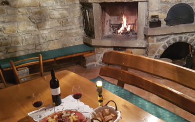 Degustacija vin v vinski kleti Vilij Bržan