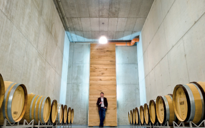 Degustacija vin in ogled vinske kleti