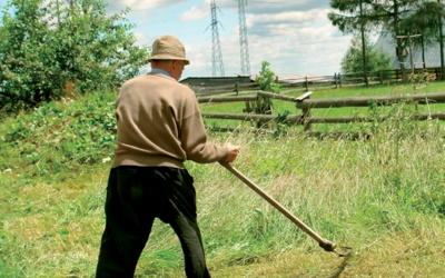 Učenje košnje trave s koso
