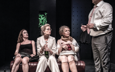 Ogled predstave na Mali sceni MGL