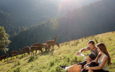 Turistična kmetija Arbajter