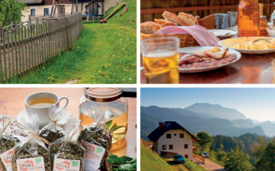 Turistična kmetija Perk