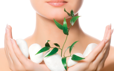 Center zdravja in lepote Fizioestetika