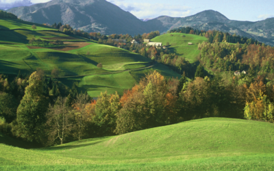 Brdarjeva turistična kmetija Ljubica