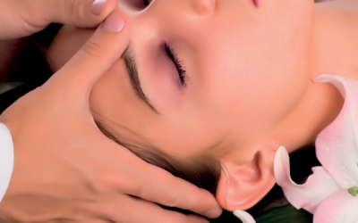 NOVO – Kozmetični salon Školjka