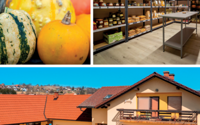 Bela golobica Bogojina