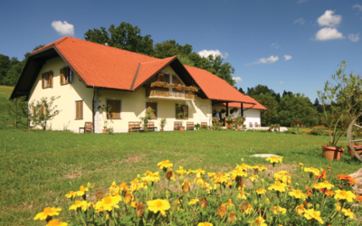 Vinogradniško – turistična kmetija Borko