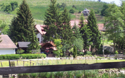 Turistična kmetija Frank – Ozmec