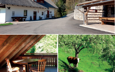 Kmetija Pr’ Vaznik