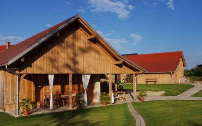 NOVO – Oljarna Kocbek