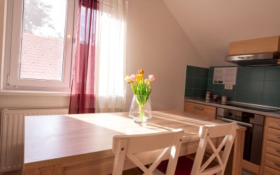 NOVO – Apartmaji Stella