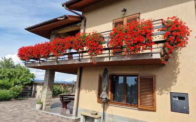 Vilij Bržan – apartma PANORAMA
