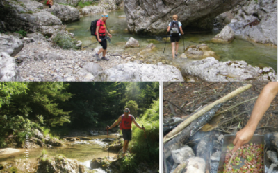 NOVO – Treking